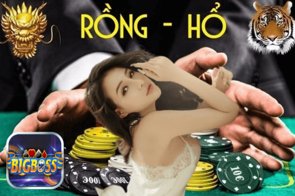 rồng hổ đại chiến Bigboss