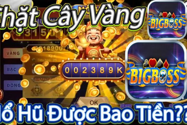 Tìm Hiểu Sự Kiện Chặt Cây Vàng Tại Bigboss