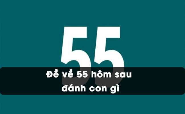 Bigboss giải đáp Đề về 55 mai đánh con gì giúp may mắn và trúng lớn?